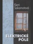 Elektrické pole - náhled