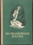 Pri prameňoch života (veľký formát) - náhled