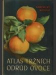 Atlas tržních odrůd ovoce - náhled
