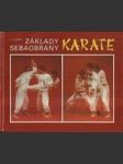 Základy sebeobrany karate - náhled