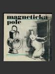 Magnetická pole - náhled