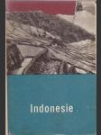 Indonesie - náhled