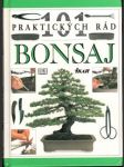 Bonsaj (malý formát) - náhled