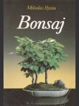 Bonsaj  - náhled