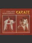 Základy sebaobrany - karate - náhled