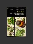 Atlas chorob a škůdců ovocných plodin, révy vinné a zeleniny - náhled