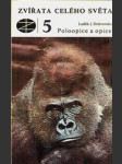 Zvířata celého světa 5 - Poloopice a opice - náhled