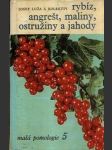 Rybíz, angrešt, maliny, ostružiny a jahody / Malá pomologie 5 - náhled