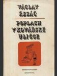 Poplach v Kovářské uličce - náhled