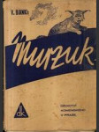 Murzuk - náhled