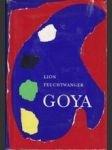 Goya, čili trpká cesta poznání - náhled