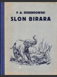 Slon Birara - náhled