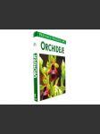 Orchideje - náhled