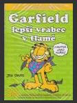 Garfield 38: Lepší vrabec v tlamě - náhled