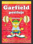 Garfield 36: Posiluje - náhled