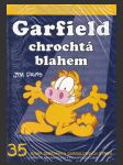 Garfield 35: Chrochtá blahem - náhled