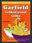 Garfield 31: Velkorysost sama - náhled