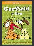 Garfield 23: U lizu - náhled