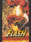 Flash: Znovuzrození (Flash: Rebirth) - náhled