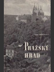 Pražský hrad - náhled