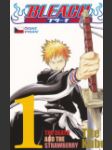 Bleach 01 - The Death and the Strawberry (Bleach 1 The Death and the Strawberry) - náhled