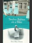 Twelve Babies on a Bike - náhled