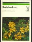 Rododendrony - náhled