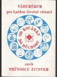 Vádemékum pro každou životní situaci, od kočárku do důchodu, 1984 - náhled