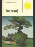 Bonsaj - náhled