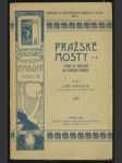 Pražské mosty - Studie se zřetelem na současné podniky - náhled