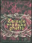 Zmizelé pražské ghetto - náhled