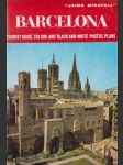 Barcelona - náhled
