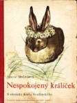 Nespokojený králíček - náhled