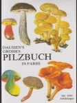 Dausien’s grosses Pilzbuch in Farbe - náhled