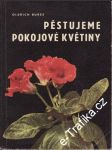 Pěstujeme pokojové květiny - náhled