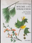 Dausien´s Grosses Buch den Baüme und Sträucher - náhled