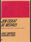 Jen čekat se nedalo - náhled