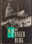 Die Prager Burg (malý formát) - náhled