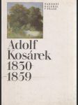 Adolf Kosárek 1830-1859 - náhled