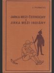 Jarka mezi černochy a Jirka mezi indiány - náhled