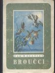 Broučci - náhled