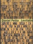 Daniel Pešta - náhled