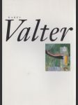 Karel Valter - náhled