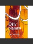 Oživ plamen - náhled