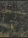 Julius Mařák a jeho žáci - náhled