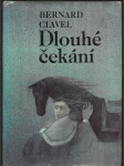 Dlouhé čekání - náhled