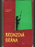 Bronzová Brána - náhled