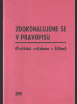 Zdokonalujeme se v pravopisu - náhled