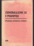 Zdokonalujeme se v pravopisu - náhled