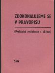 Zdokonalujeme se v pravopisu. Praktická cvičebnice s klíče. - náhled